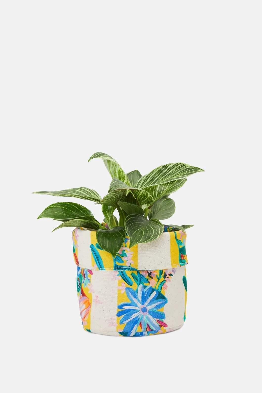 Flower Power Stripe Planter Sml